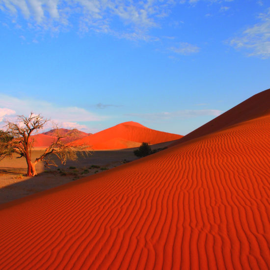 dunes