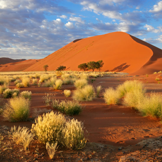paysage dune