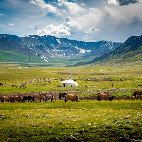 fleurs couleurs melodies nomades mongolie vastes paysages voyage groupe decouverte