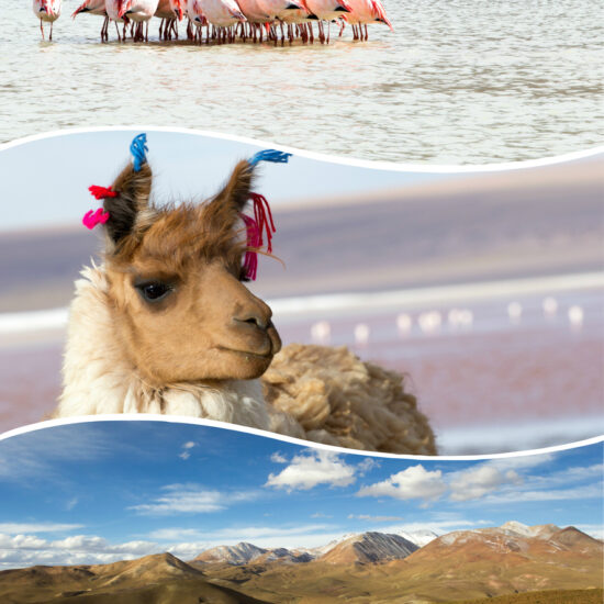 Collage of Bolivia images travel background (my photos)