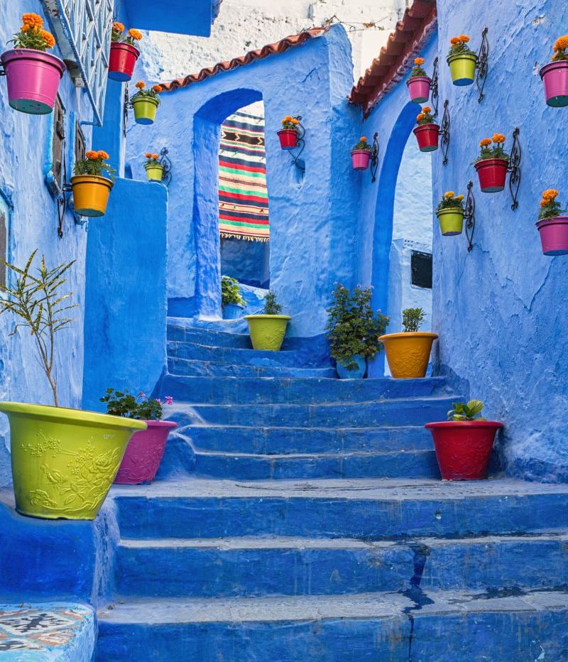 medina bleue800932