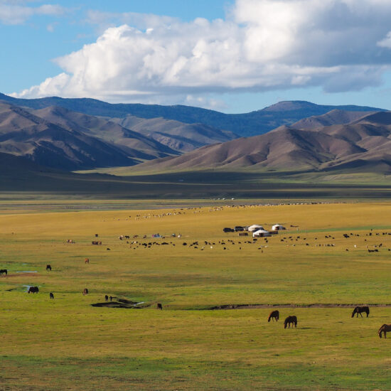 steppes mongolie vie nomade rencontre peuple voyage groupe decouverte