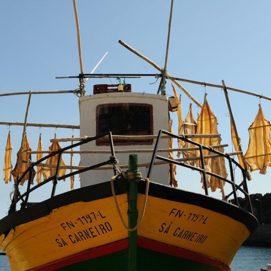 madeira 1523879 1280