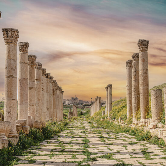 jerash-voie-romaine-ancienne-cite-voyage-groupe-amis-des-musees-jordanie
