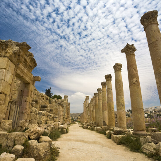 jerash-jordanie-cite-archeologique-voyage-groupe-amis-des-musees