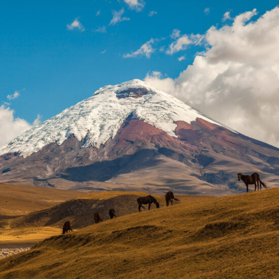 cotopaxi equateur amerique sud