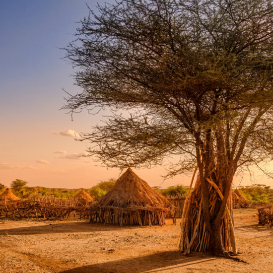Hamer village near Turmi, Ethiopia
