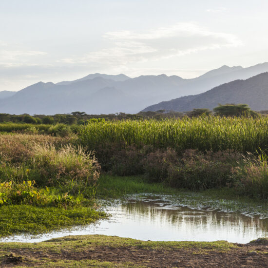 Landscape with small pond in foreground. Omo Valley. Ethiopia.