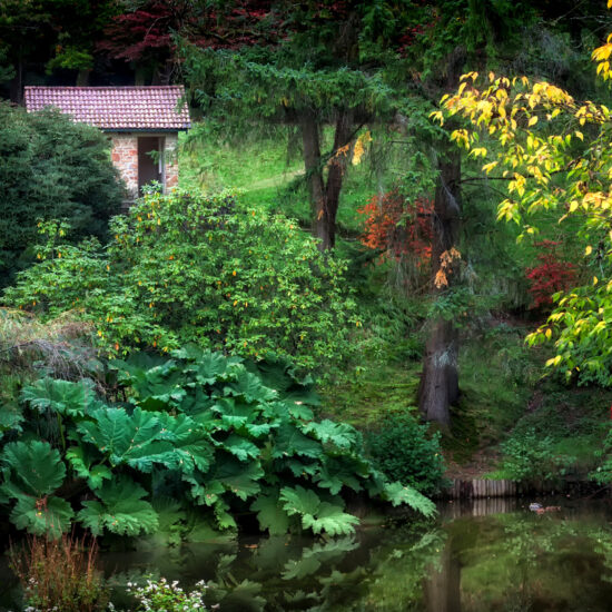 Clyne Park gardens