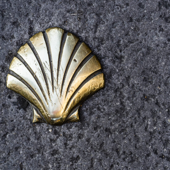 Scallop, symbol of the Santiago road.