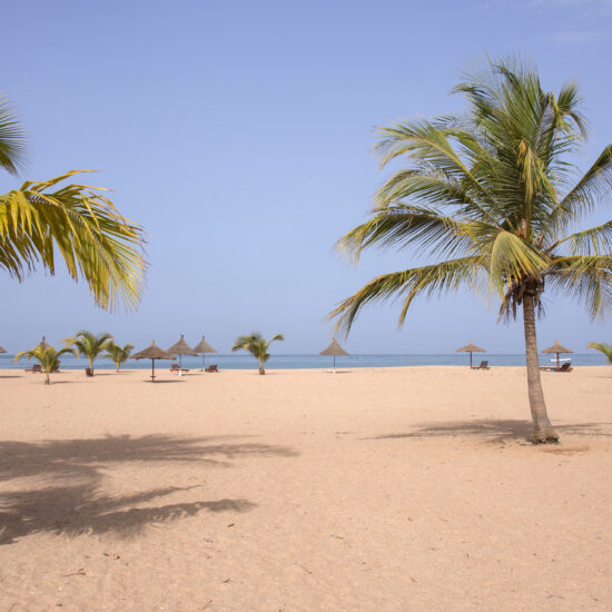 Palm trees and Saly beach in Senegal