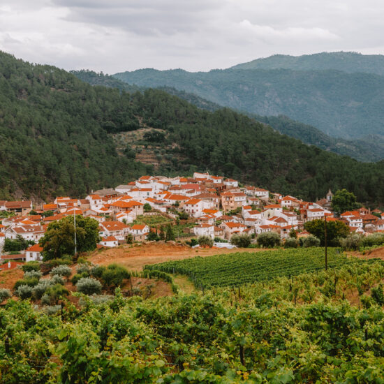 Vineyards and traditional houses composing the landscape in Douro Valley, Portugal