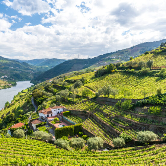Vineyards and Landscape of the Douro river region in Portugal