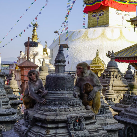 Big Stupa in the Swayambhunath Temple