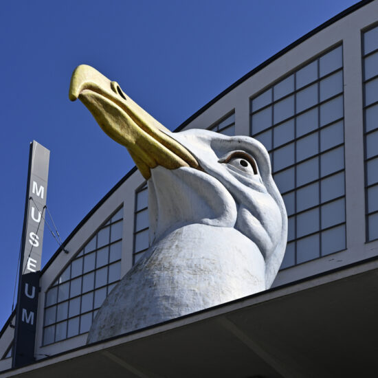 building of the Helsinki Art Museum with a sculpture of a seagull