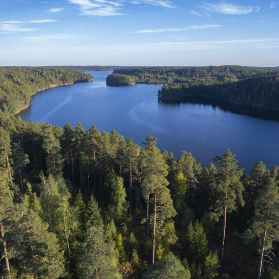 Aerial view to the Nuuksio national park in Finland