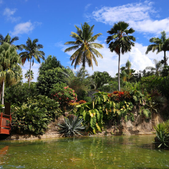 Guadeloupe Deshaies Botanical Garden