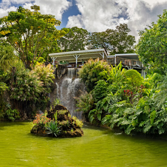 Panoramic view of Waterfall Le Cascade in Botanical Garden Jardin Botanique in Deshaies (Caribbean island Guadeloupe)