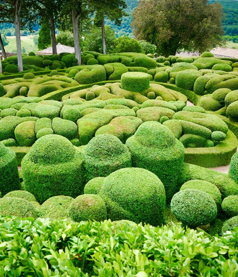 French Topiary Garden