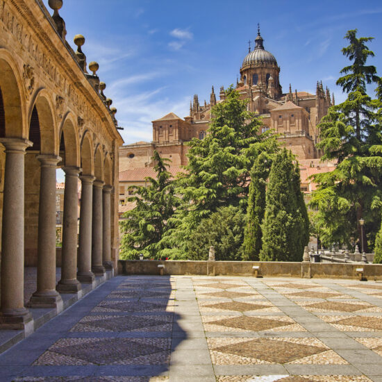 Cathedral of Salamanca, Spain