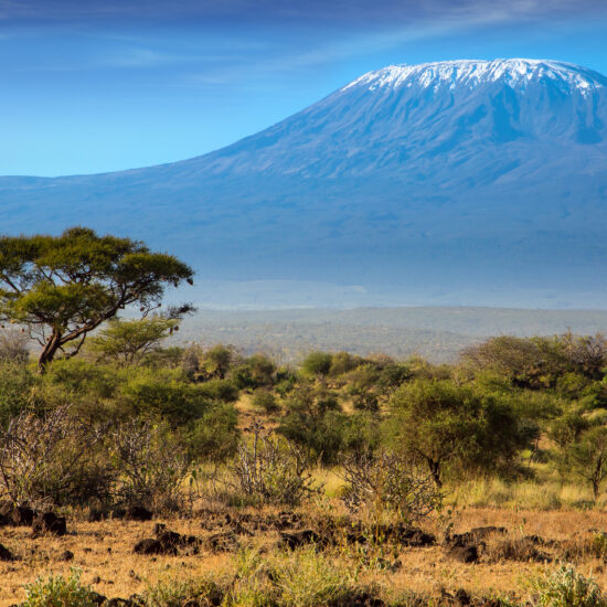 The Kilimanjaro