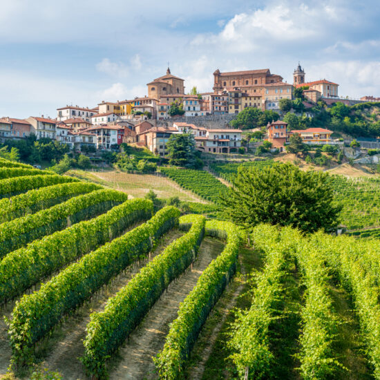 The beautiful village of La Morra and its vineyards in the Langhe region of Piedmont, Italy.