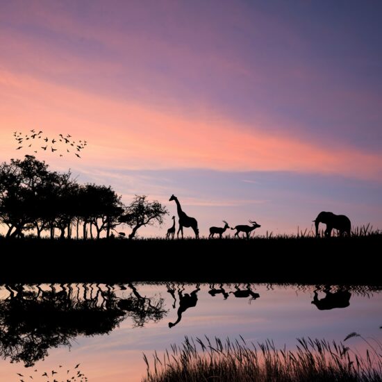 getty images gnqlwdukwdk unsplash