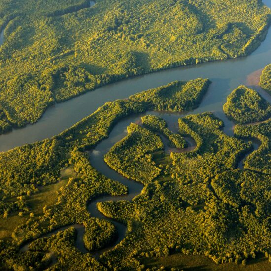River in tropic Costa Rica, Corcovado NP. Lakes and rivers, view from airplane. Green grass in Central America. Trees with water in rainy season. Photo from air.